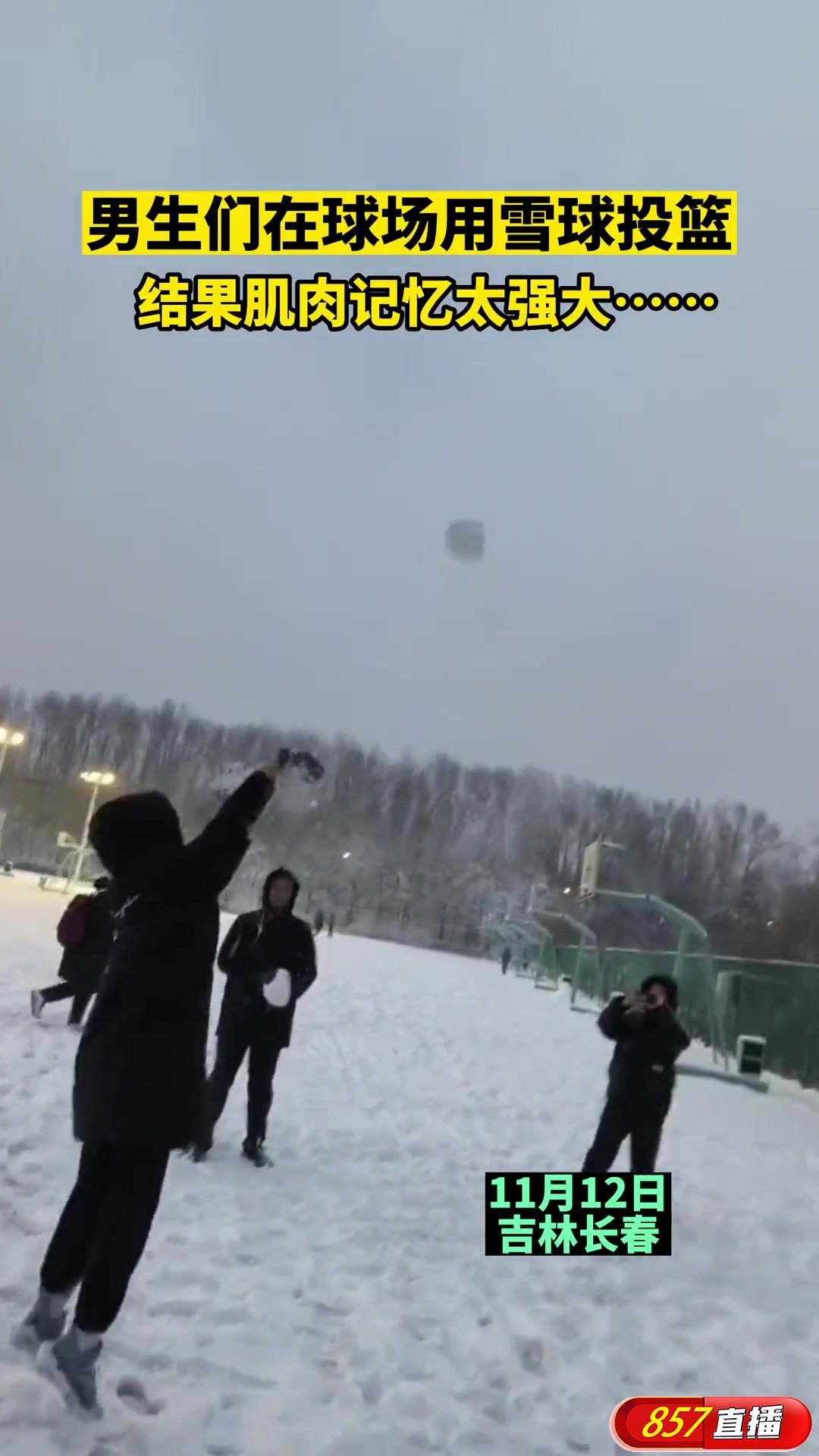 北方人是怎么打雪球的？