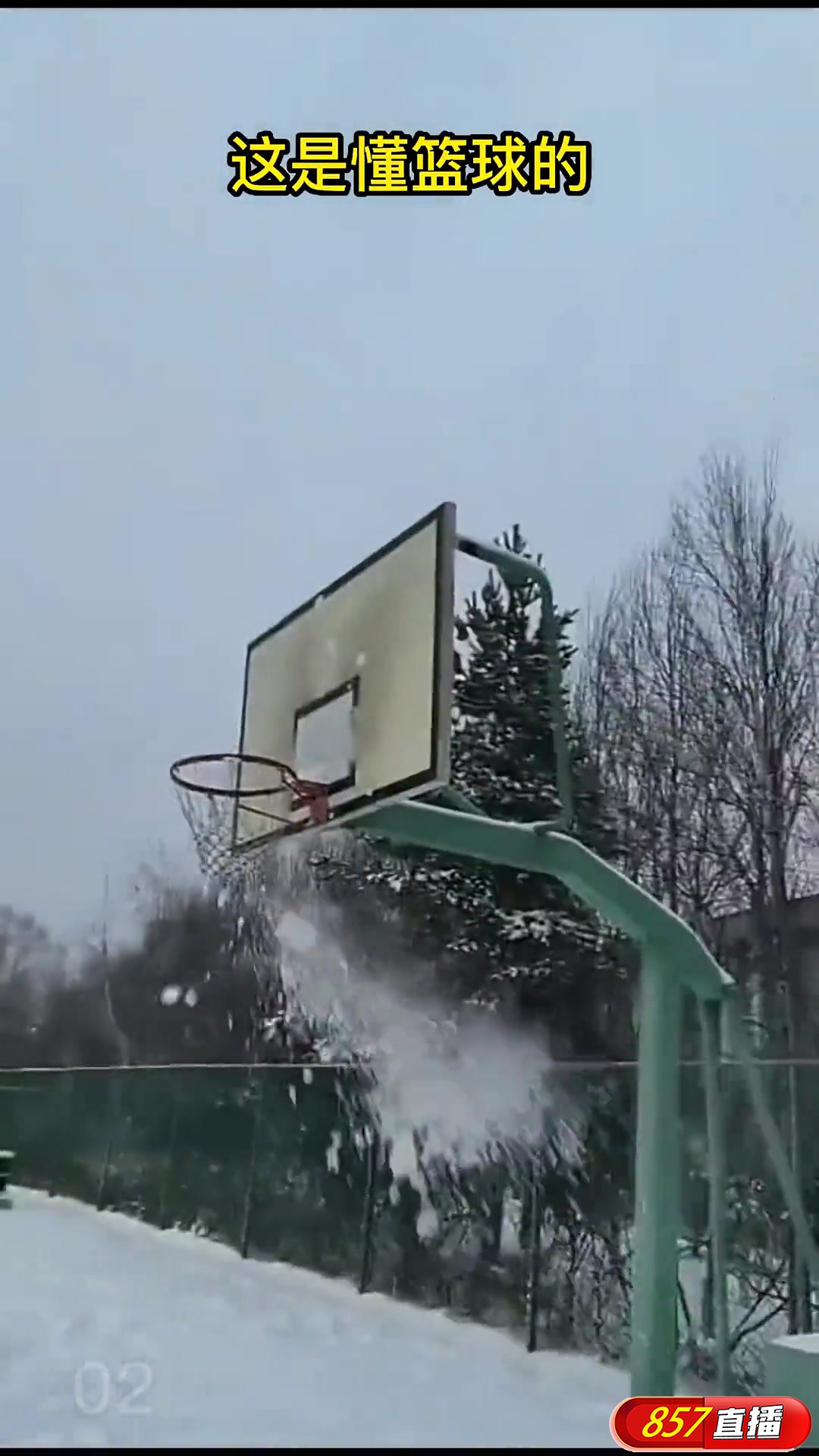 这是懂玩篮球的！雪地里撒欢从打雪仗摇变投雪球